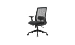 Caressa Task Chair by ODS in stock and ready to ship