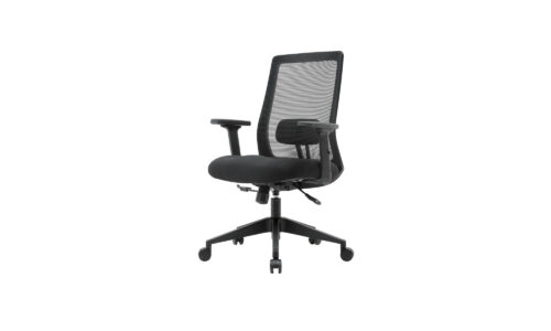 ODS Caressa Task Chair